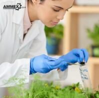 Nitrile Gloves - Image 22